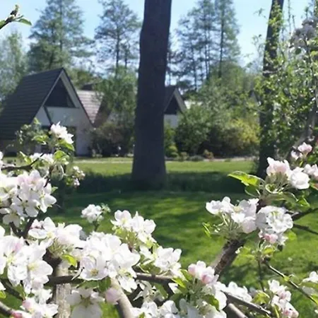 Haus Am Διαμέρισμα