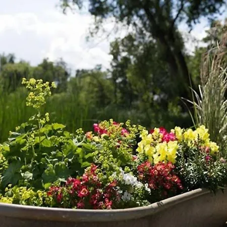 Haus Am アパート