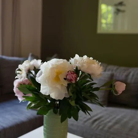 Haus Am Σβερίν